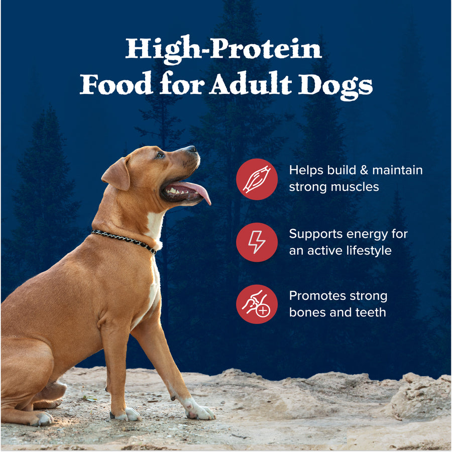 High-Protein fro Adult Dogs Benefits