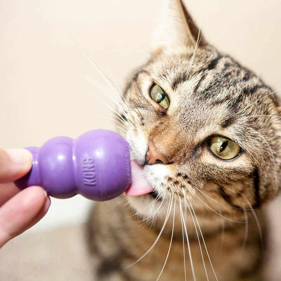 KONG Kitty Kong Cat Toy