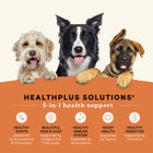 Healthplus Solutions. 5-in-1 Health support. Healthy Joints, Beautiful Skin & Coat, Healthy immune system, heart health, Healthy Digestion.