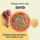Canidae All Life Stages Lamb and Rice Canned Dog Food Made with Real Lamb without Corn, Wheat or Soy 