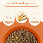 Real Chicken #1 Ingredient Canidae All Life Stages Dry Dog Food