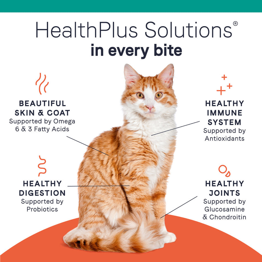 Canidae HealthPlus Solutions, support for skin, coat, immunity, digestion, and joints in every bite.