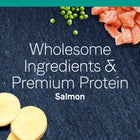 Canidae Grain Free PURE Sea Dry Cat Food, Wholesome Ingredients & Premium Protein Salmon