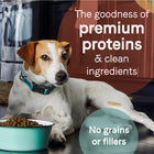 Goodness of premium proteins & clean ingredients in Canidae PURE Grain Free Bison, Lentil and Carrot Recipe Dry Dog Food