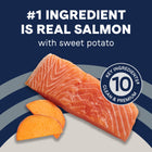 #1 Ingredient is real salmon with sweet potato in Canidae PURE Grain Free Salmon & Sweet Potato Recipe Dry Dog Food