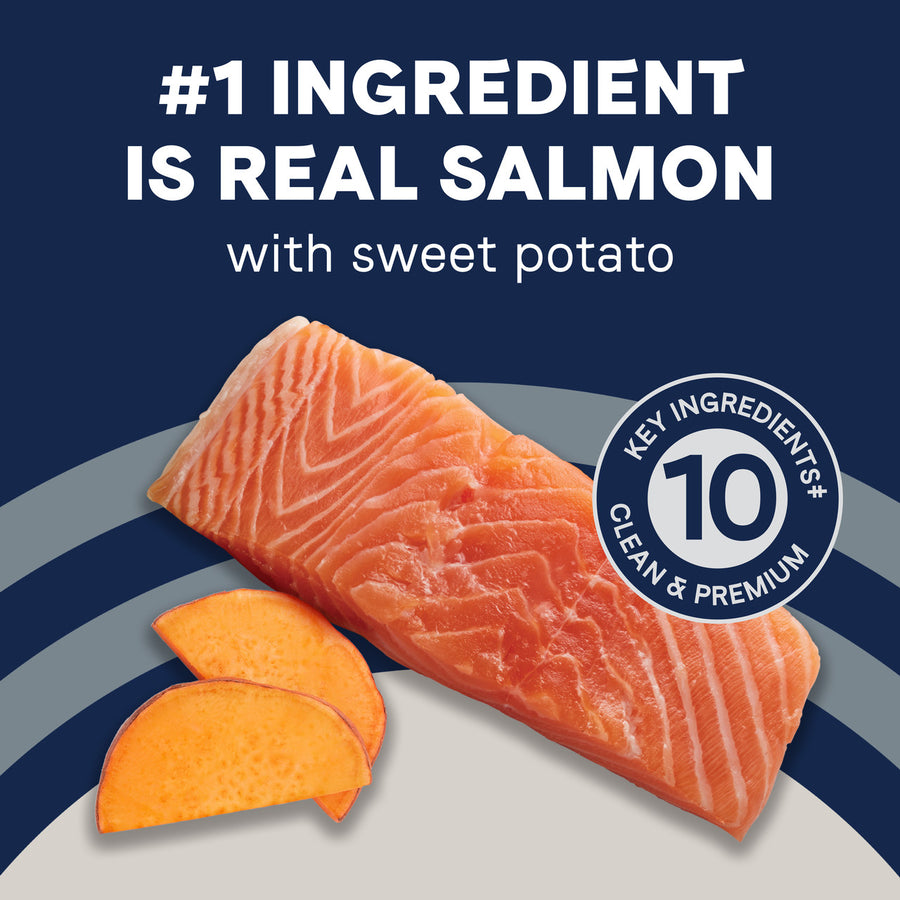 #1 Ingredient is real salmon with sweet potato in Canidae PURE Grain Free Salmon & Sweet Potato Recipe Dry Dog Food