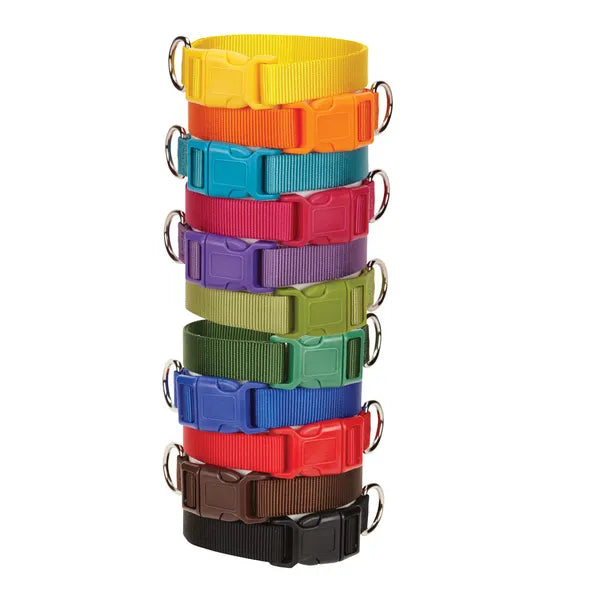 Stack of colorful dog collars on a white background
