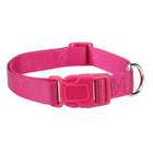 Purple dog collar with a metal buckle on a white background