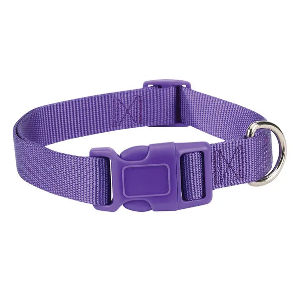 Purple dog collar with a metal buckle on a white background