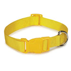 Yellow dog collar with a metal buckle on a white background
