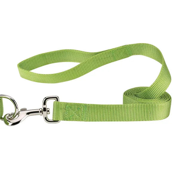 Green dog leash with a silver clasp on a white background