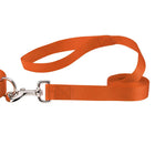 Orange Coloured Leash On White Background