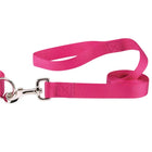 Pink dog leash with a silver clasp on a white background