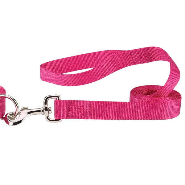 Pink dog leash with a silver clasp on a white background