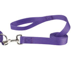 Purple dog leash with a silver clasp on a white background
