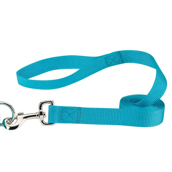 Turquoise dog leash with a metal clip on a white background