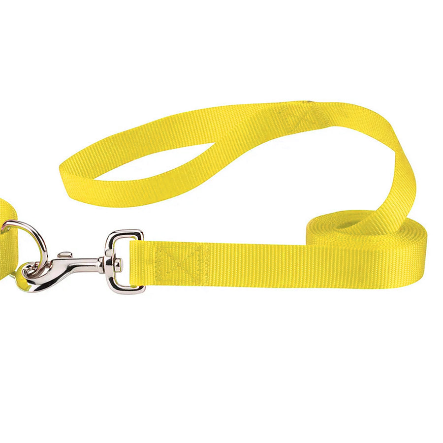 Yellow Coloured Leash  On White Background