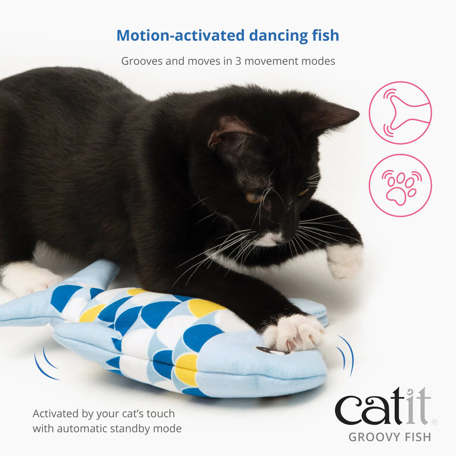 Motion activated dancing Catit Groovy Fish Cat Toy in 3 movement modes