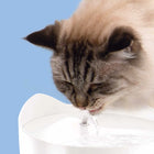 The Catit PIXI Fountain was designed for optimal drinking comfort. Its shallow surface doesn’t brush against your cat’s sensitive whiskers when your cat is drinking.