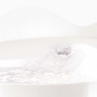 Bubbling Water for Catit Pixi Drinking Fountain making sure 