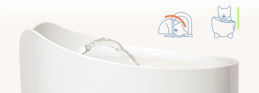 The Catit PIXI Fountain was designed for optimal drinking comfort. Its shallow surface doesn’t brush against your cat’s sensitive whiskers when your cat is drinking.