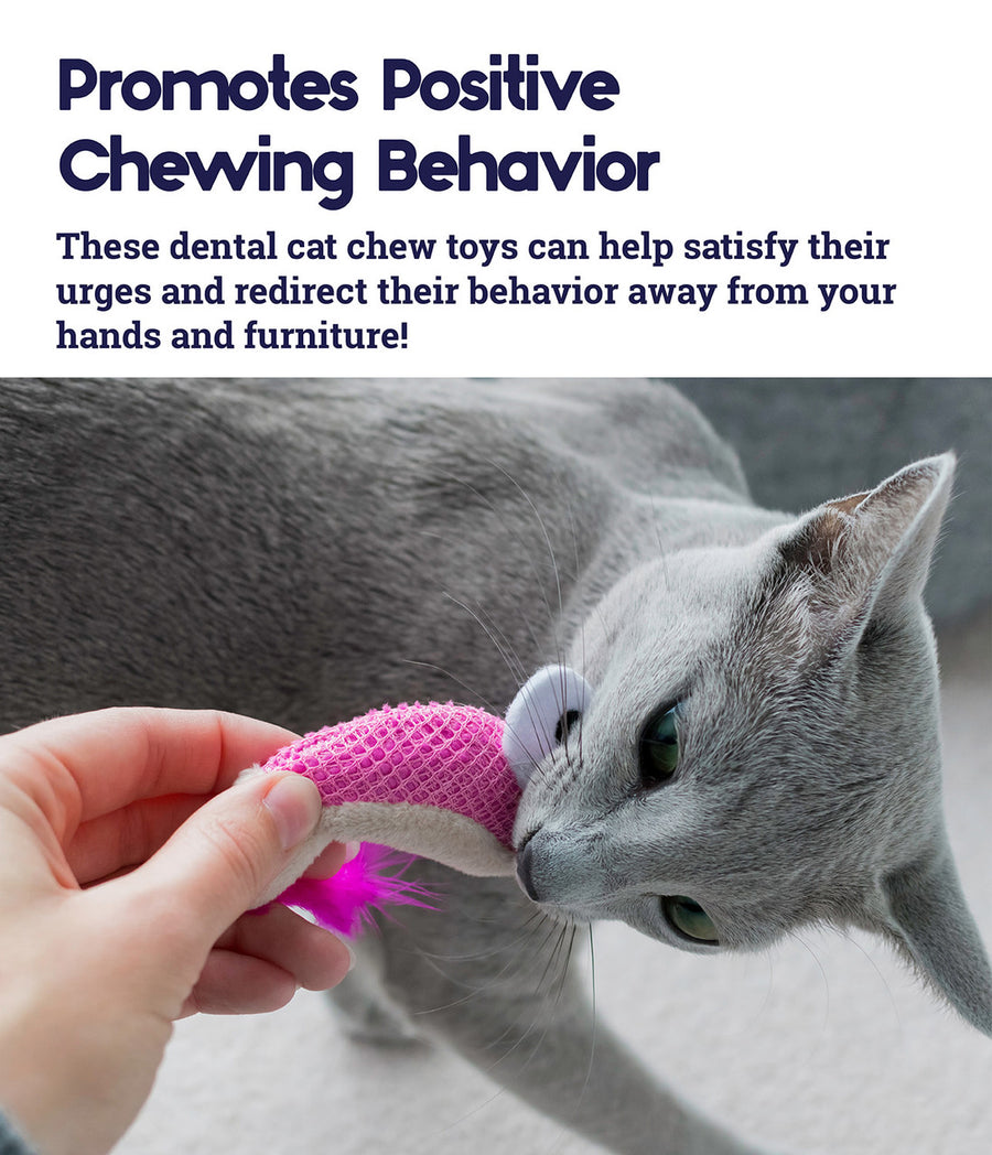 A gray cat biting a pink shrimp-shaped cat toy held by a person’s hand. The toy has a mesh texture and a bright pink feather tail. Promotes Positive Chewing Behavior. These dental cat chew toys can help satisfy their urges and redirect their behavior away from your hands and furniture!