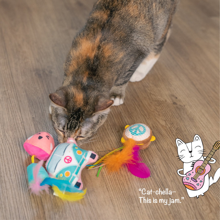 A calico cat sniffs a colorful trio of cat toys on a wooden floor: a plush mushroom, a teal van with a peace sign, and a tambourine-shaped toy with bright feathers. In the corner, an illustrated cat holds a pink guitar with the caption: "Cat-chella – This is my jam."