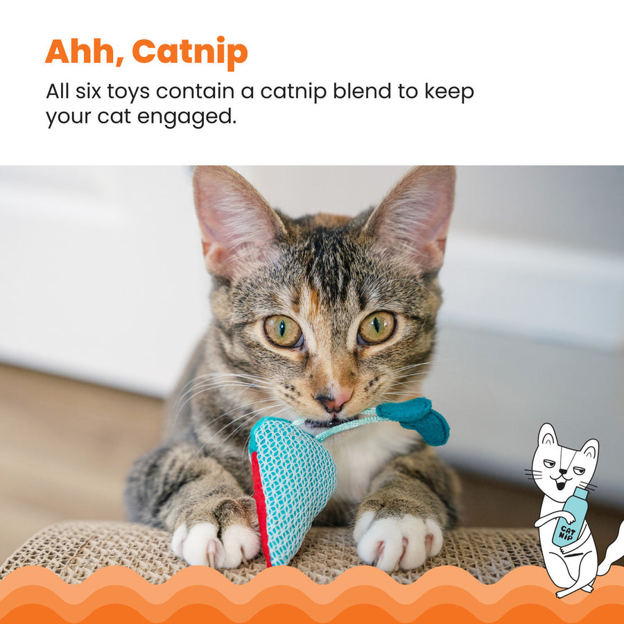 A tabby cat lounges on a scratcher, playfully biting a red and blue garden gnome toy. Ahh, Catnip – All six toys contain a catnip blend to keep your cat engaged. An illustrated cat holding a catnip bottle appears in the corner.