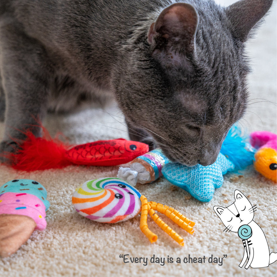 A gray cat sniffs a blue gummy bear toy surrounded by colorful candy-themed cat toys, including a red feathered fish, a wrapped candy, a rainbow lollipop with yellow ribbons, a pink and orange gummy worm, and an ice cream cone. An illustrated cat with a lollipop and the caption 'Every day is a cheat day' appears in the corner.