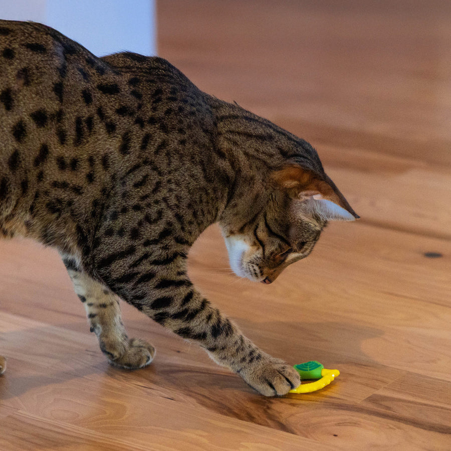 Catstages Lemon Teether Yellow Cat Toy