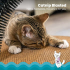 Catstages Scratch & Groom Scratch Pad & Grooming Brush Cat Toy For feline herbalists 
