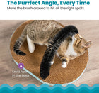 Cat using Catstages Scratch & Groom Scratch Pad & Grooming Brush Cat Toy
