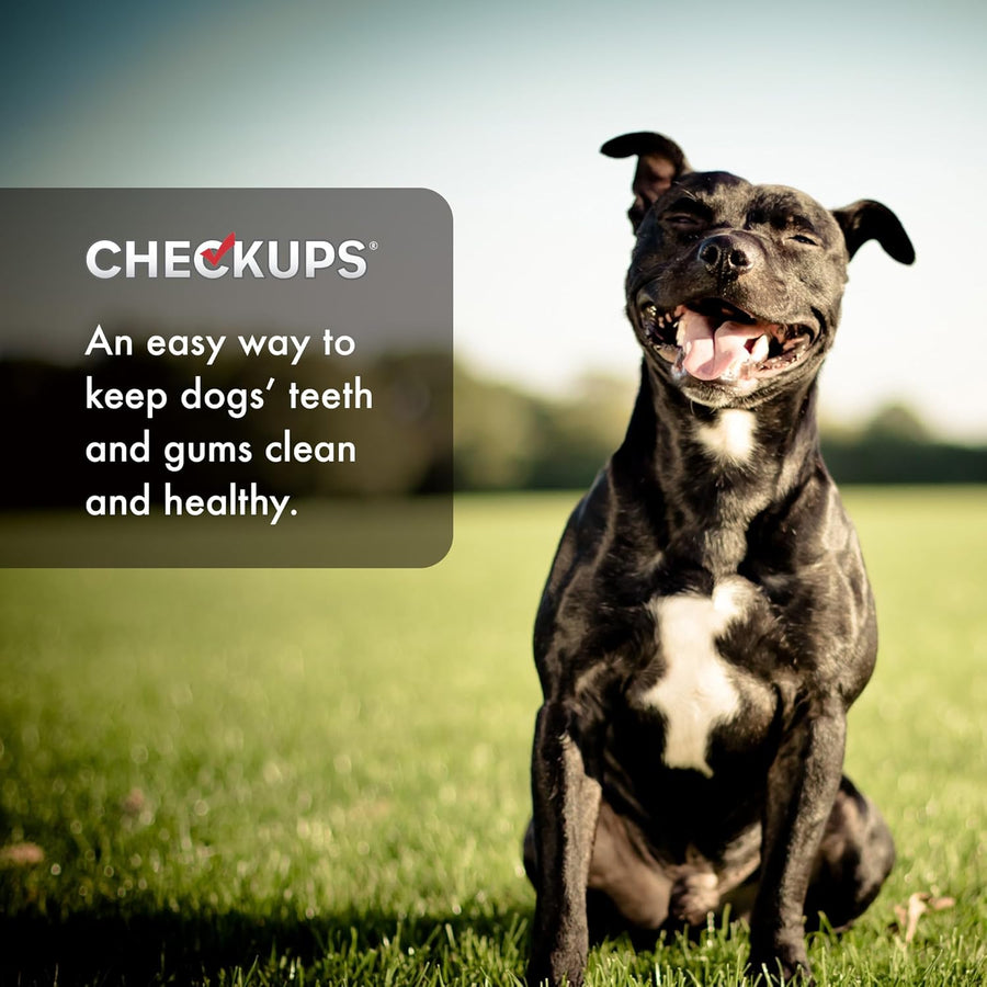 Dog sitting on grass with 'Checkups' product overlay