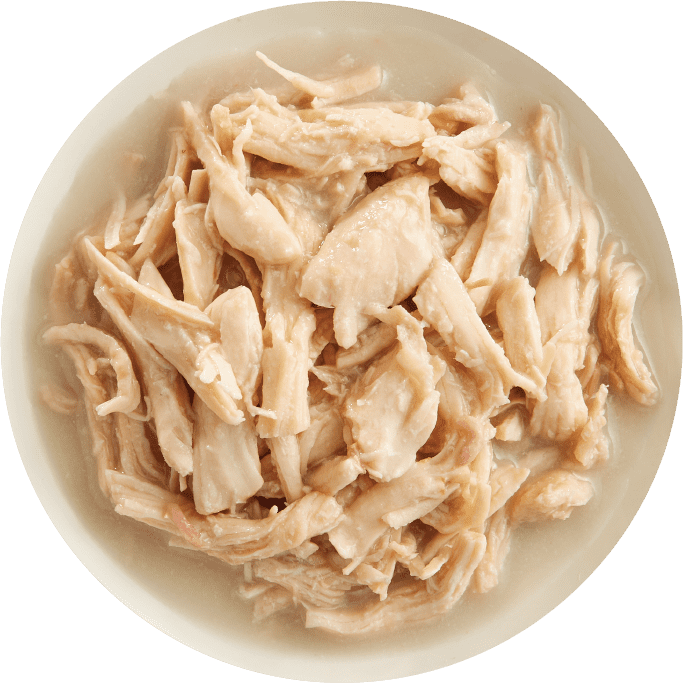 RAWZ Shredded Chicken Breast & New Zealand Green Mussels Recipe Canned Dog Food