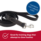 Circle T Oak Tanned Leather Dog Leash, Black 6 Foot, maintains rich, natural color and great for training dogs that chew leashes
