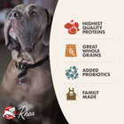 * Highest Quality Proteins
* Great Whole Grains
* Added Probiotics
* Family Made