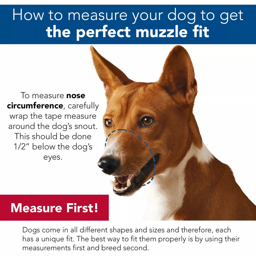 Measurement instruction of Coastal Best Fit Adjustable Mesh Dog Muzzle 