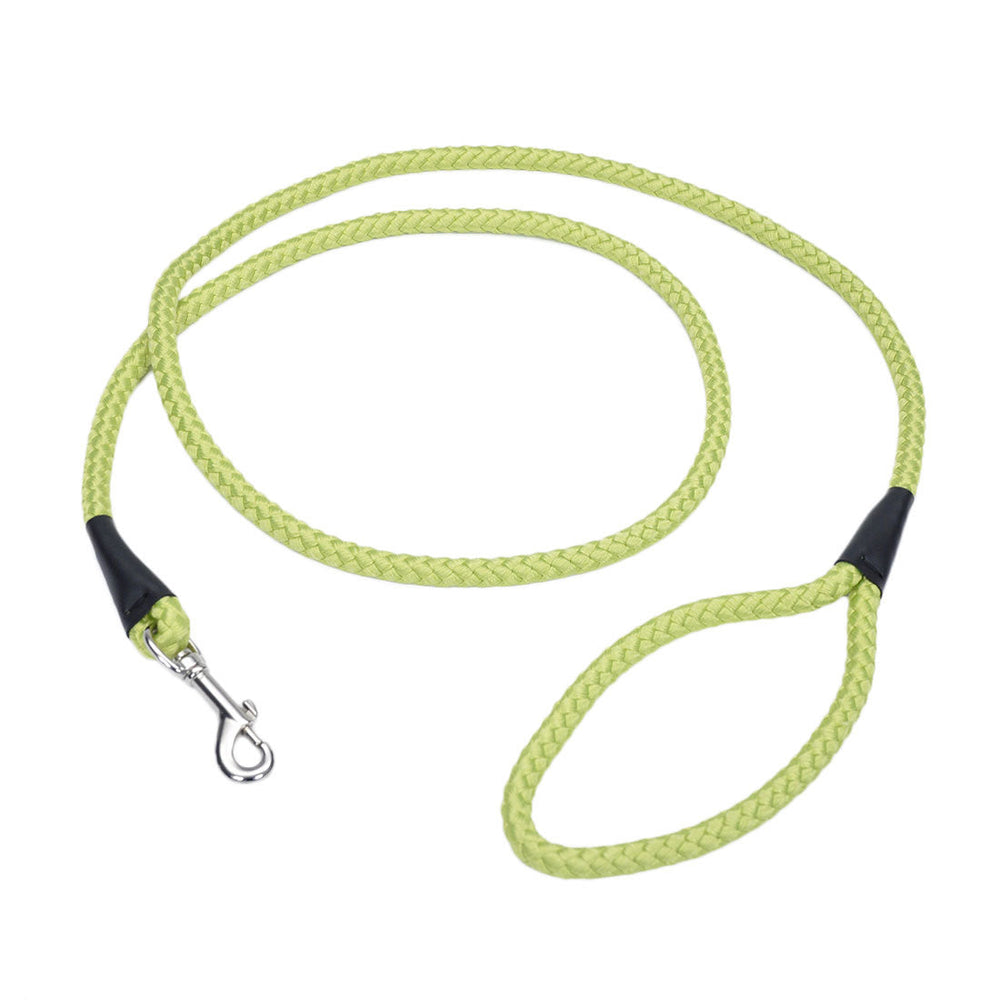 Coastal Rope Dog Leash, Lime 6 Foot in a white background