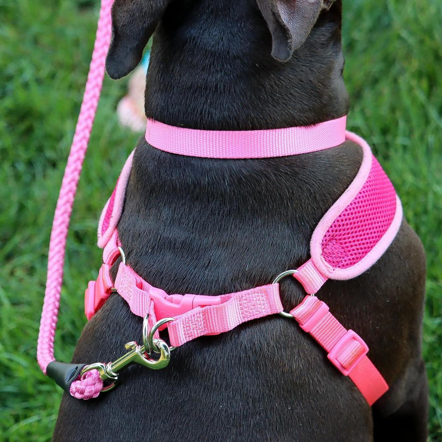 Close up of Coastal Rope Dog Leash, Pink Bright 6 Foot