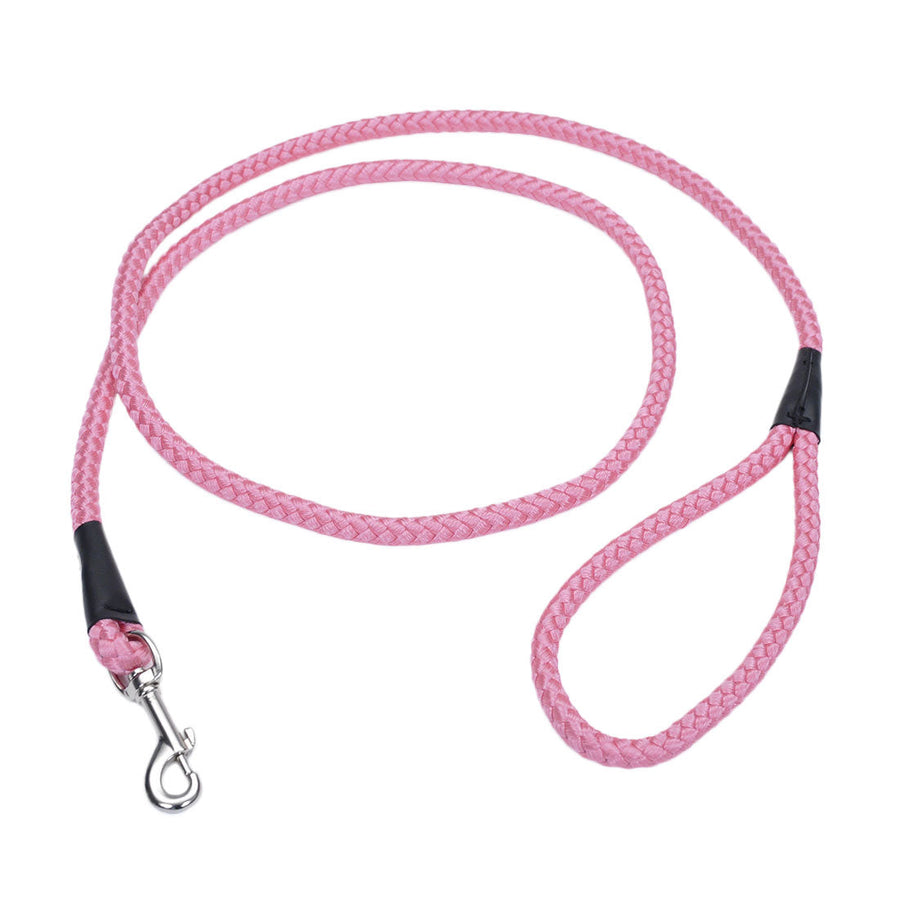 Coastal Rope Dog Leash, Pink Bright 6 Foot in a white bacground