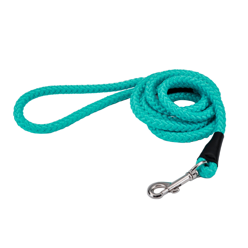 Coastal Rope Dog Leash, Teal 6 Foot in a white background