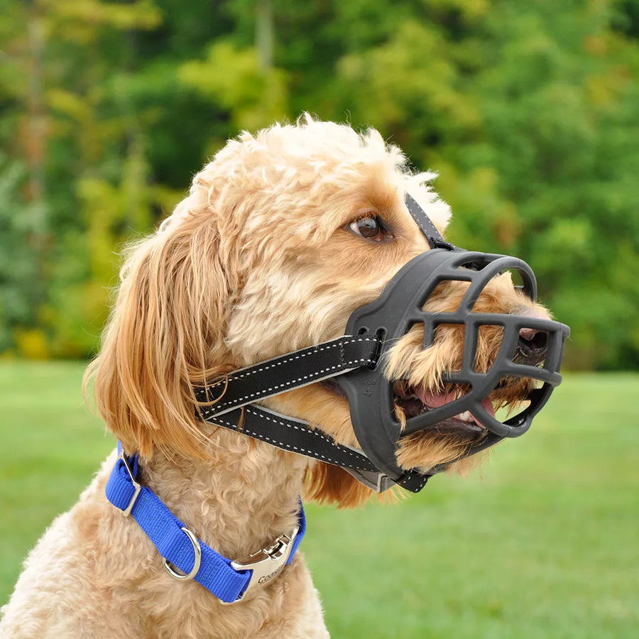 Brown dog using Coastal Soft Basket Muzzle For Dogs
