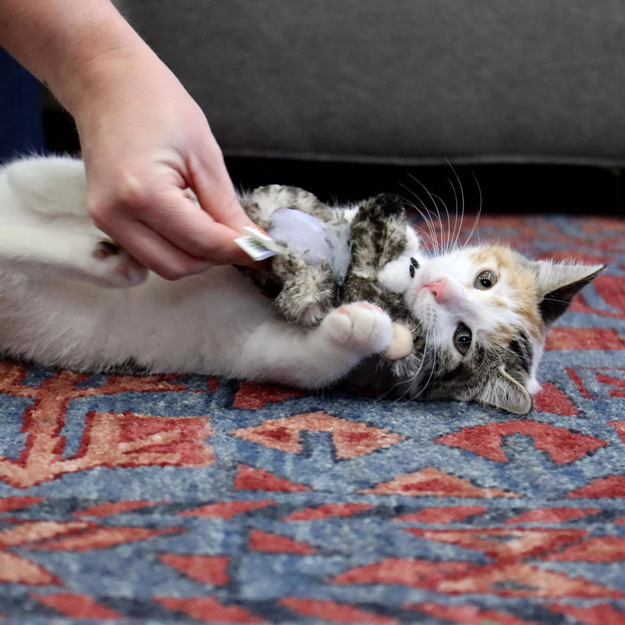 Coastal Turbo Catnip Belly Mouse Cat Toy