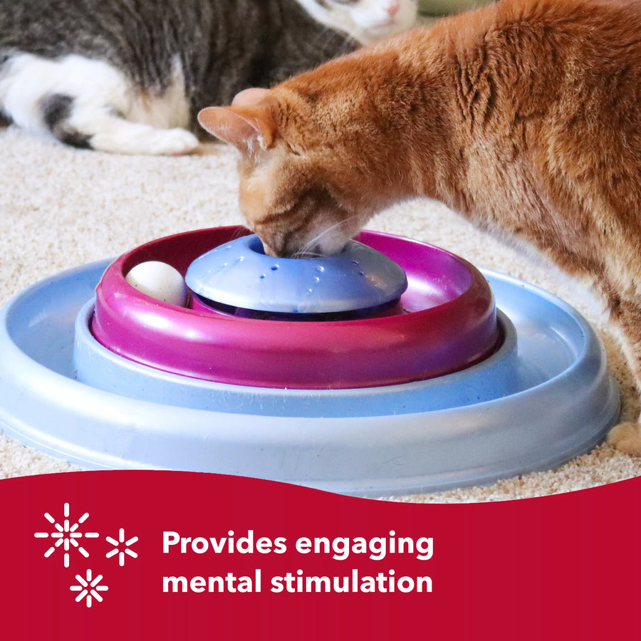 Provides engaging mental stimulation.