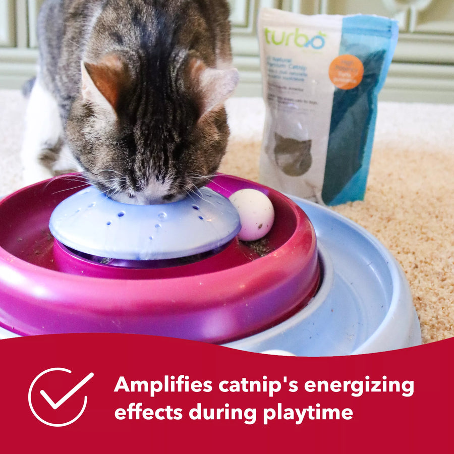 Amplified catnip's energizing effects during playtime.