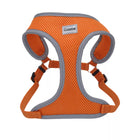 Close up of harness. Showing padded center piece, with the head strap and body strap. Adjustable straps on both sides.