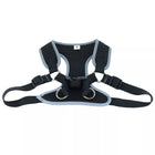 Close up of harness. Showing padded center piece. Adjustable straps on both sides. In the center shows a pinch buckle closed and two D rings for leash attachment.