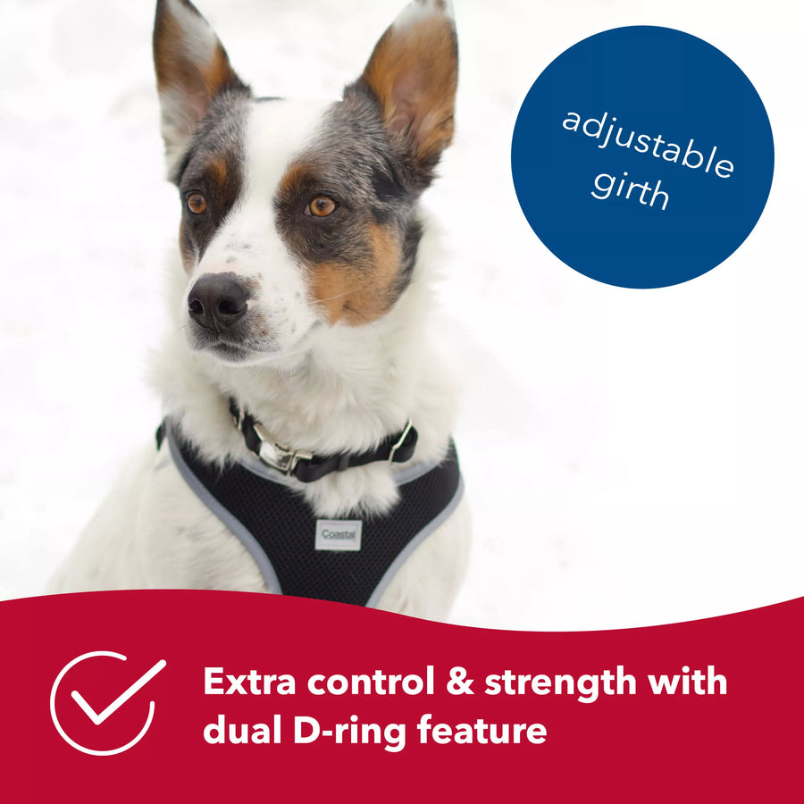 Adjustable girth. Extra control & strength with dual D-Ring feature.