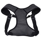 Close up of harness. Showing padded center piece, with the head strap and body strap. Adjustable straps on both sides.