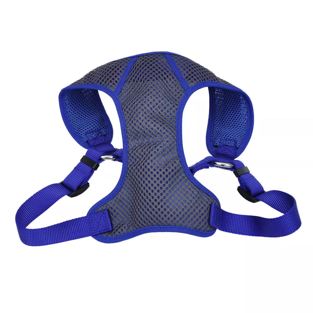 Comfort Soft Sport Wrap Adjustable Grey with Blue Dog Harness in a white background
